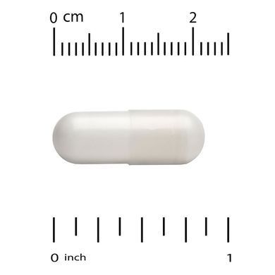 Глюкозамін, хондроїтин і МСМ Doctor's Best Glucosamine Chondroitin MSM 240 шт - основне фото