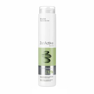 Шампунь для жирного волосся Erayba Zen Active Z12b Cleansing Shampoo 250 мл - основне фото