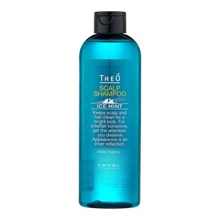 Шампунь для мужчин Lebel THEO Scalp Shampoo Ice Mint 320 мл - основное фото