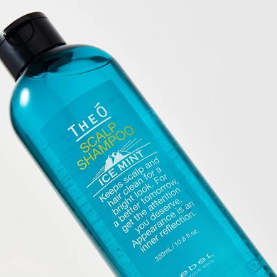 Шампунь для чоловіків Lebel THEO Scalp Shampoo Ice Mint 320 мл - основне фото