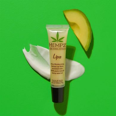 Зволожувальний захисний бальзам для губ HEMPZ Lips Herbal Lip Balm 14,5 г - основне фото