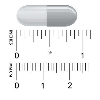 Ацетил L-карнітин Now Foods Acetyl L-Carnitine 500 mg 100 шт - основне фото