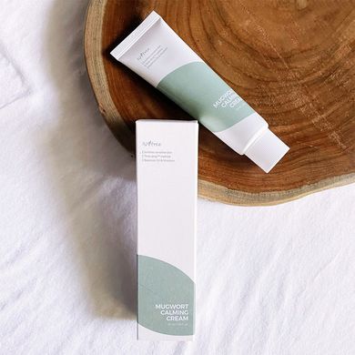 Крем для чувствительной кожи с экстрактом полыни Isntree Mugwort Calming Cream 50 мл - основное фото