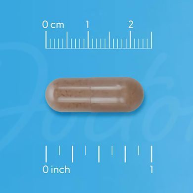 Капсули для підтримки імунітету з епікором Doctor's Best Immune Support Postbiotic 500 mg 60 шт - основне фото