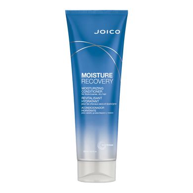 Кондиціонер для сухого та пористого волосся Joico Moisture Recovery Moisturizing Conditioner 250 мл - основне фото