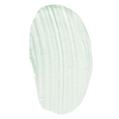 Яблучна маска краси для жирної та комбінованої шкіри Christina Sea Herbal Beauty Mask Green Apple 60 мл - основне фото