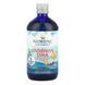 Рідкий риб'ячий жир для дітей від 1 до 6 років з полуничним смаком Nordic Naturals Children's DHA 530 mg 473 мл - додаткове фото