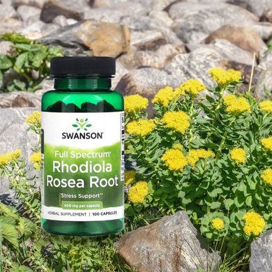 Антистресс-добавка Swanson Full Spectrum Rhodiola Rosea Root 400 mg 100 шт - основное фото