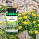 Антистресс-добавка Swanson Full Spectrum Rhodiola Rosea Root 400 mg 100 шт - дополнительное фото