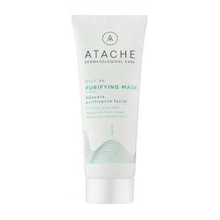 Антибактериальная очищающая маска Atache Oily SK Рurifying Mask 100 мл - основное фото