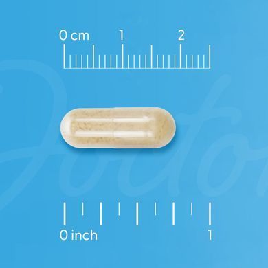 Фосфатидилсерин Doctor's Best Phosphatidylserine With SerinAid 100 mg 120 шт - основное фото