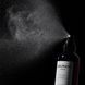Пепельный спрей-тонер для волос Balmain Paris Ash Toner 200 мл - дополнительное фото