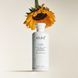 Шампунь для волосся &laquo;Яскравість кольору&raquo; Keune Care Color Brillianz Shampoo 300 мл - додаткове фото