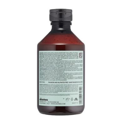 Детоксикувальний шампунь-скраб Davines Natural Tech Detoxifying Scrub Shampoo 250 мл - основне фото
