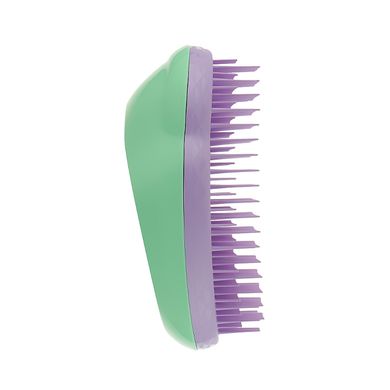 Лилово-мятная расчёска для волос Tangle Teezer Original Thick & Curly Pixie Green - основное фото